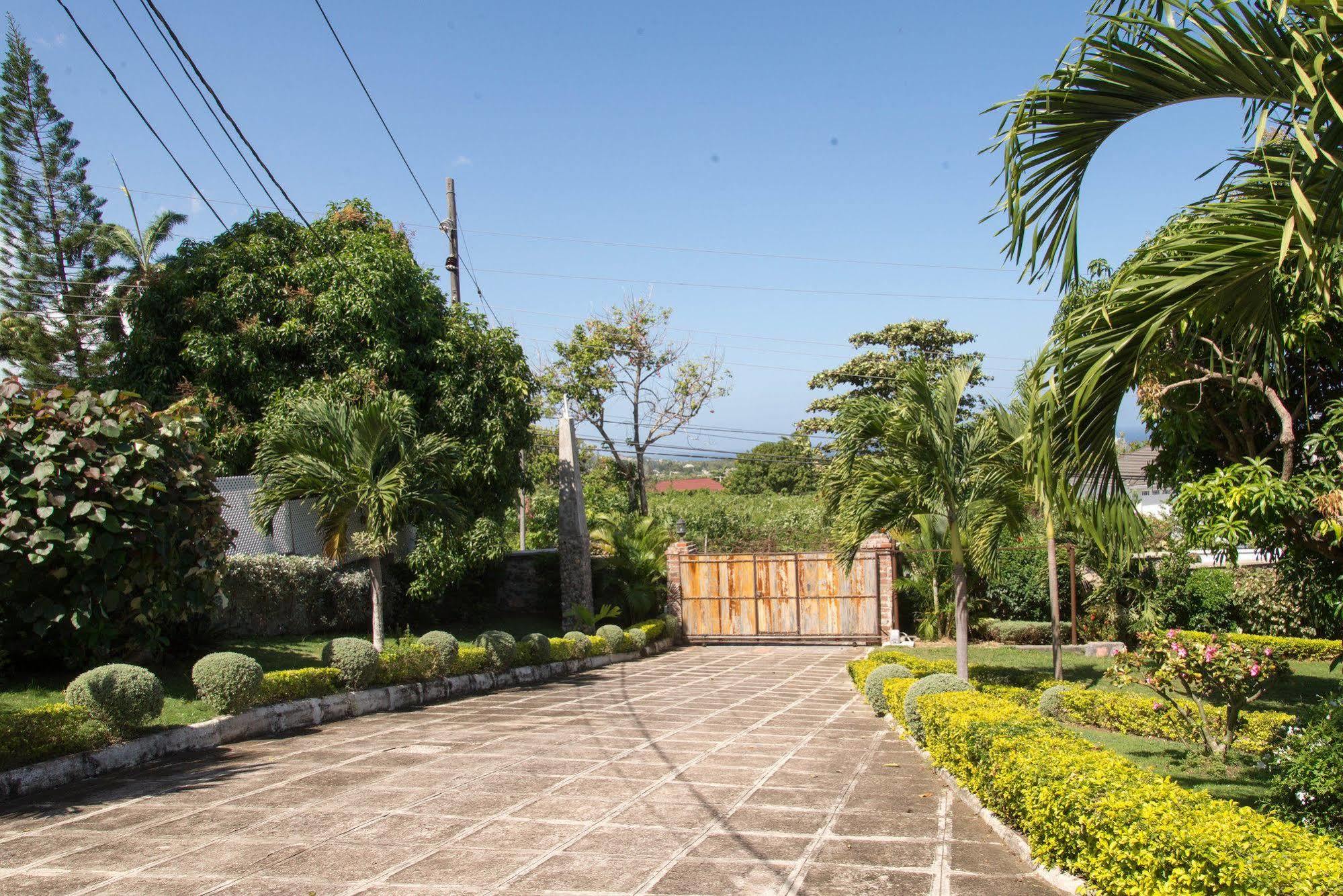 Hatfield South Villa Montego Bay Esterno foto